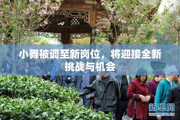 小舞被调至新岗位，将迎接全新挑战与机会