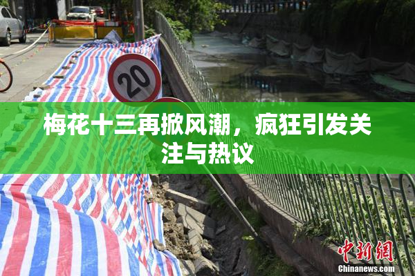 梅花十三再掀风潮，疯狂引发关注与热议
