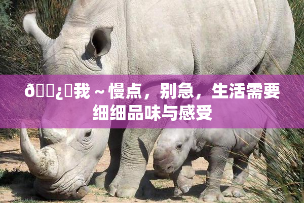 🌿‌我～慢点，别急，生活需要细细品味与感受
