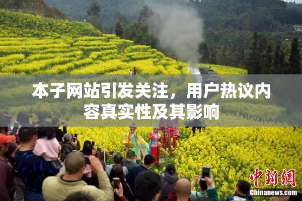 本子网站引发关注，用户热议内容真实性及其影响