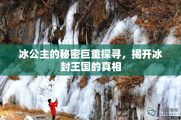 冰公主的秘密巨重探寻，揭开冰封王国的真相