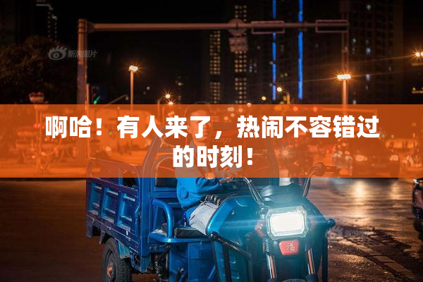 啊哈！有人来了，热闹不容错过的时刻！