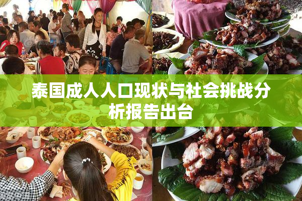 泰国成人人口现状与社会挑战分析报告出台