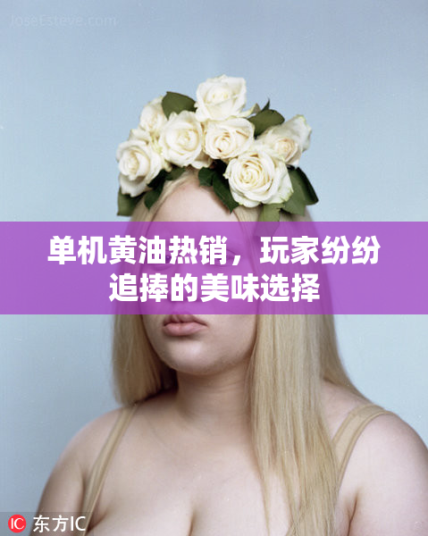单机黄油热销，玩家纷纷追捧的美味选择