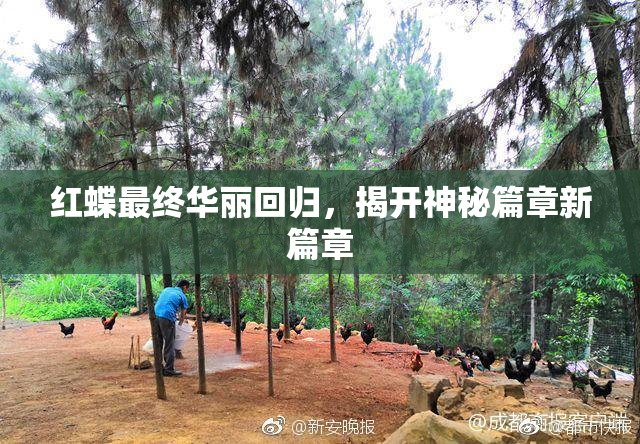 红蝶最终华丽回归，揭开神秘篇章新篇章