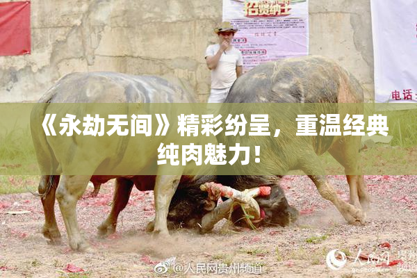 《永劫无间》精彩纷呈，重温经典纯肉魅力！