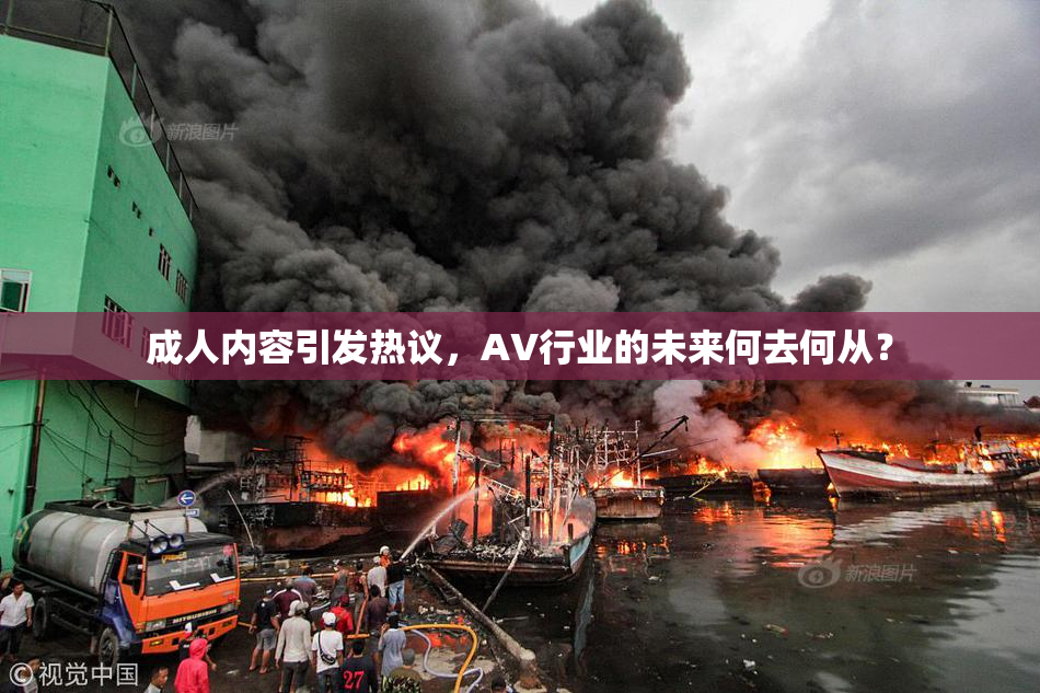 成人内容引发热议，AV行业的未来何去何从？