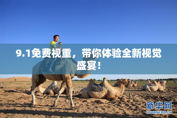 9.1免费视重，带你体验全新视觉盛宴！