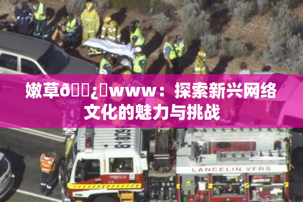 嫩草🌿‌www：探索新兴网络文化的魅力与挑战