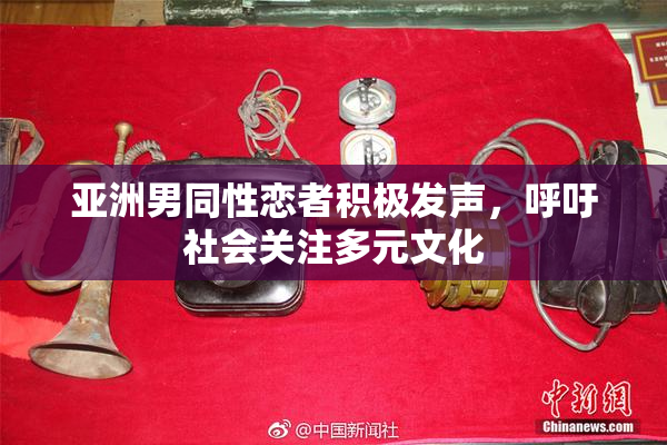 亚洲男同性恋者积极发声，呼吁社会关注多元文化