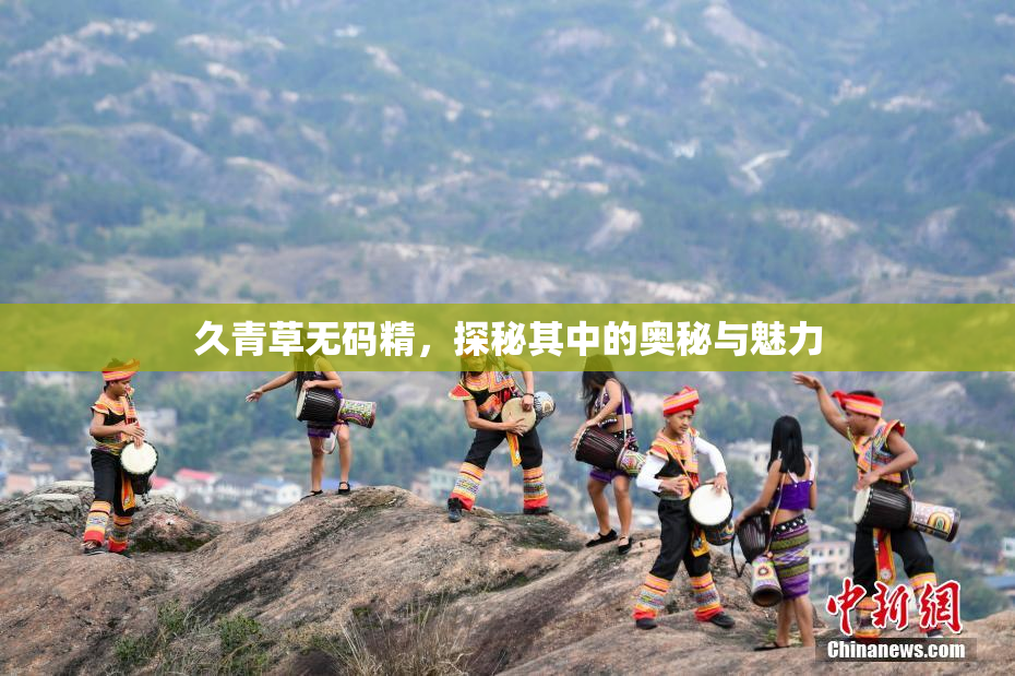 久青草无码精，探秘其中的奥秘与魅力