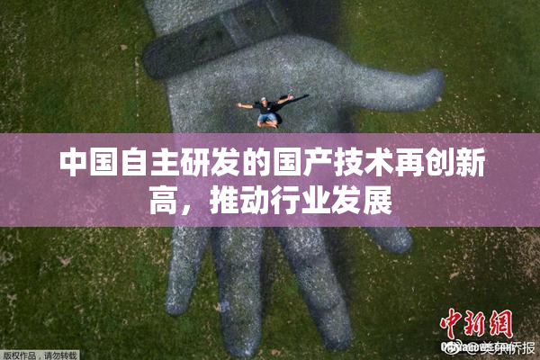 中国自主研发的国产技术再创新高，推动行业发展