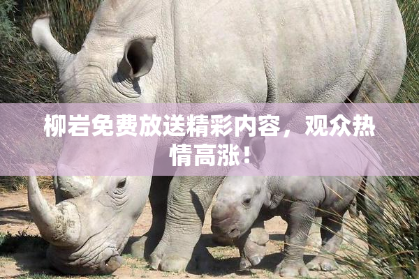 柳岩免费放送精彩内容，观众热情高涨！