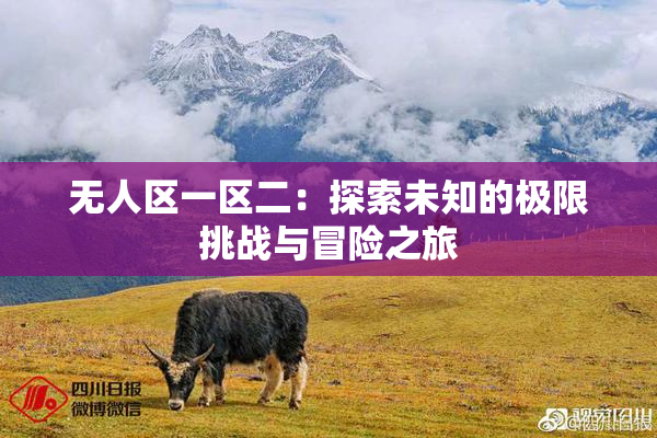 无人区一区二：探索未知的极限挑战与冒险之旅