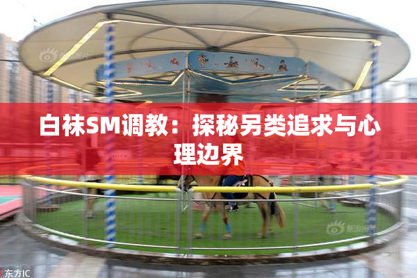 白袜SM调教：探秘另类追求与心理边界