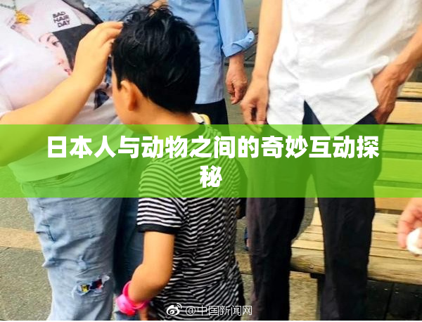 日本人与动物之间的奇妙互动探秘