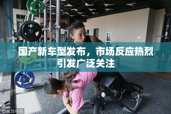 国产新车型发布，市场反应热烈引发广泛关注