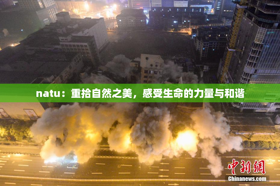 natu：重拾自然之美，感受生命的力量与和谐