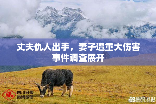 丈夫仇人出手，妻子遭重大伤害事件调查展开