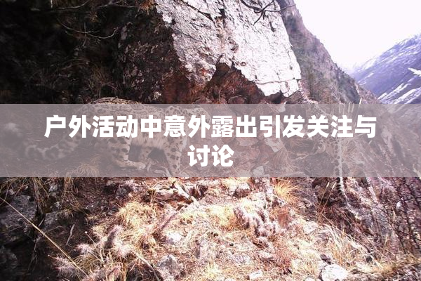 户外活动中意外露出引发关注与讨论