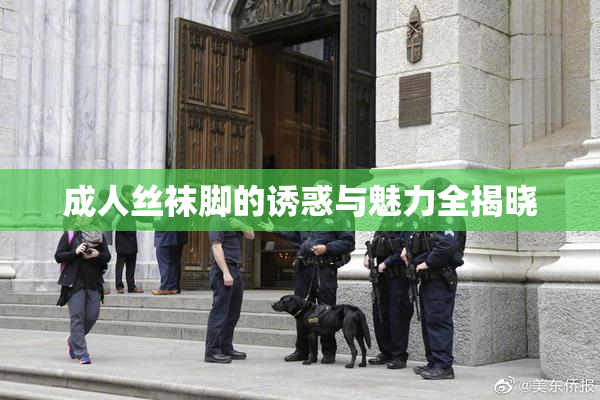 成人丝袜脚的诱惑与魅力全揭晓