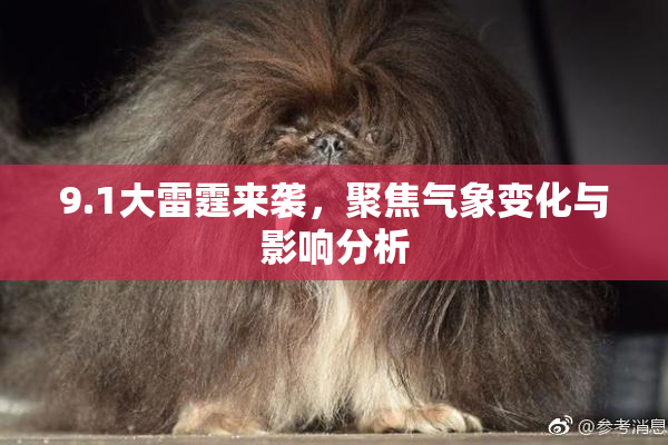 9.1大雷霆来袭，聚焦气象变化与影响分析