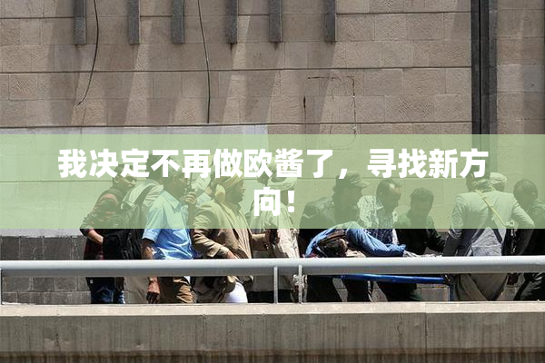 我决定不再做欧酱了，寻找新方向！