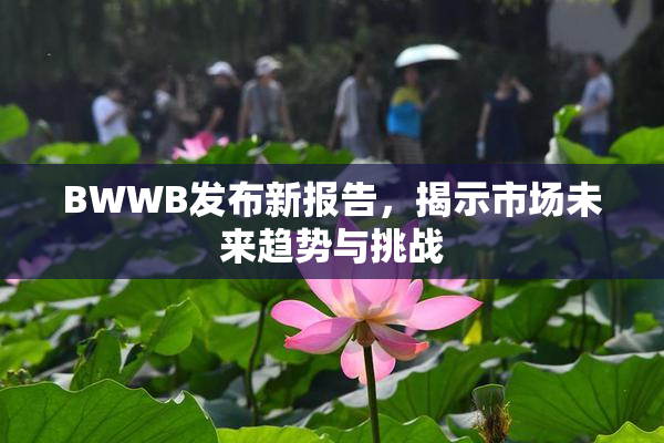 BWWB发布新报告，揭示市场未来趋势与挑战