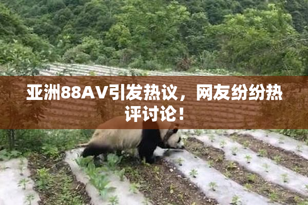 亚洲88AV引发热议，网友纷纷热评讨论！