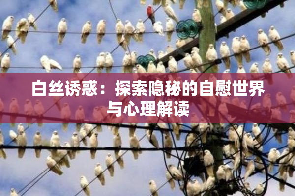 白丝诱惑：探索隐秘的自慰世界与心理解读
