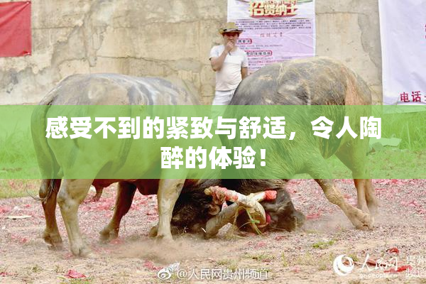 感受不到的紧致与舒适，令人陶醉的体验！
