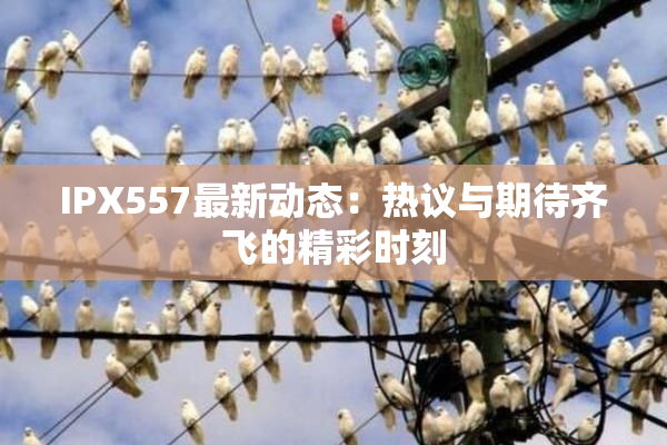 IPX557最新动态：热议与期待齐飞的精彩时刻