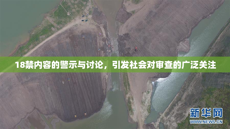 18禁内容的警示与讨论，引发社会对审查的广泛关注