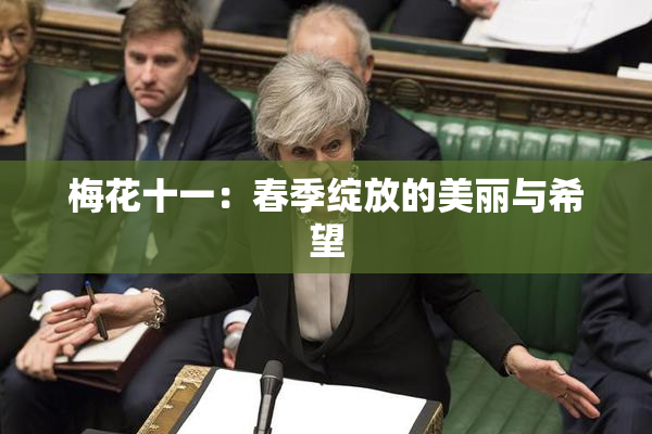 梅花十一：春季绽放的美丽与希望