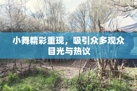 小舞精彩重现，吸引众多观众目光与热议
