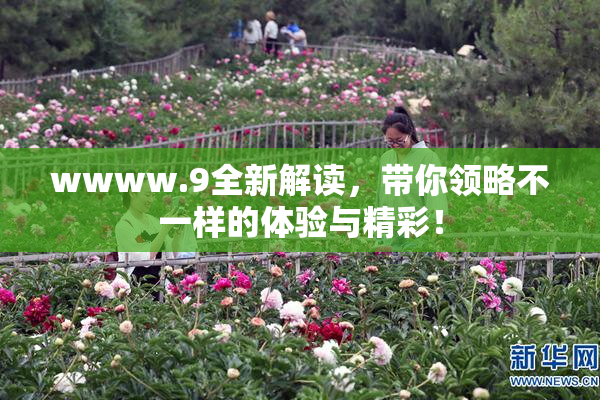 wwww.9全新解读，带你领略不一样的体验与精彩！