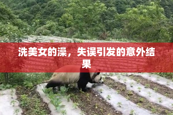 洗美女的澡，失误引发的意外结果