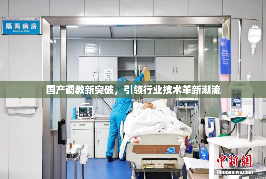 国产调教新突破，引领行业技术革新潮流