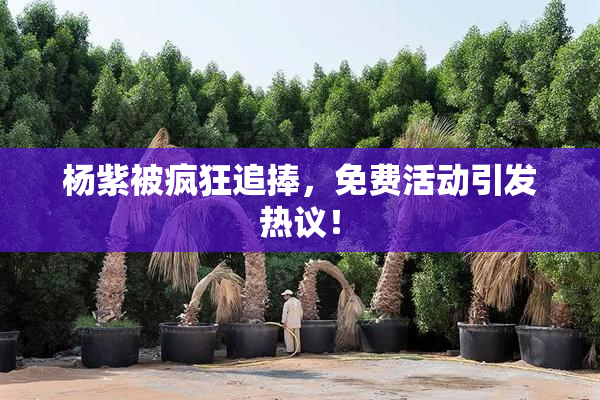杨紫被疯狂追捧，免费活动引发热议！