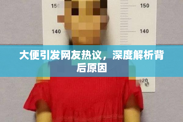 大便引发网友热议，深度解析背后原因