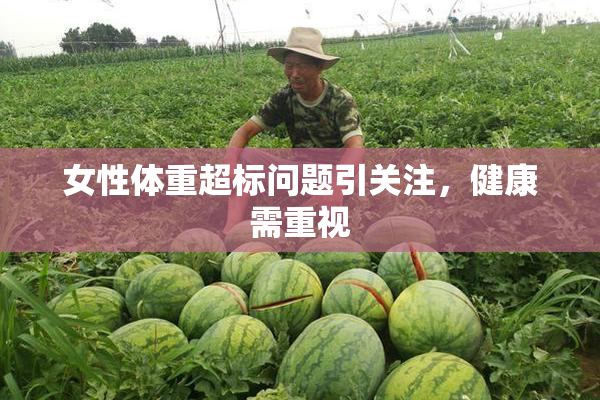 女性体重超标问题引关注，健康需重视