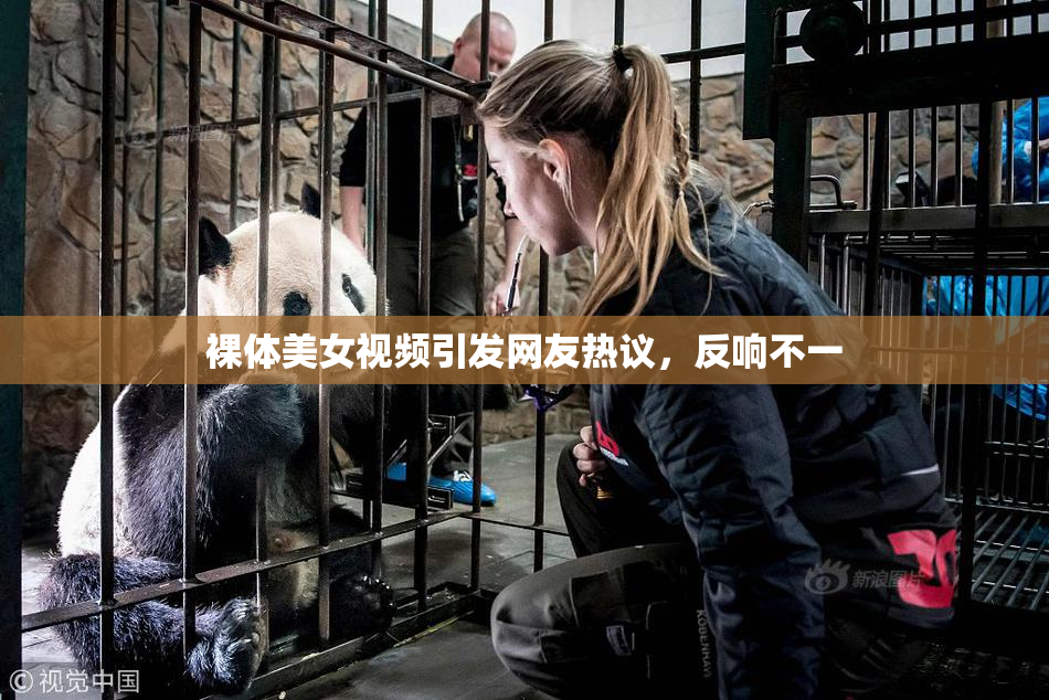 裸体美女视频引发网友热议，反响不一