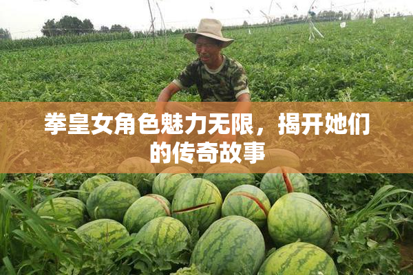 拳皇女角色魅力无限，揭开她们的传奇故事
