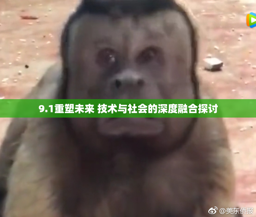 9.1重塑未来 技术与社会的深度融合探讨