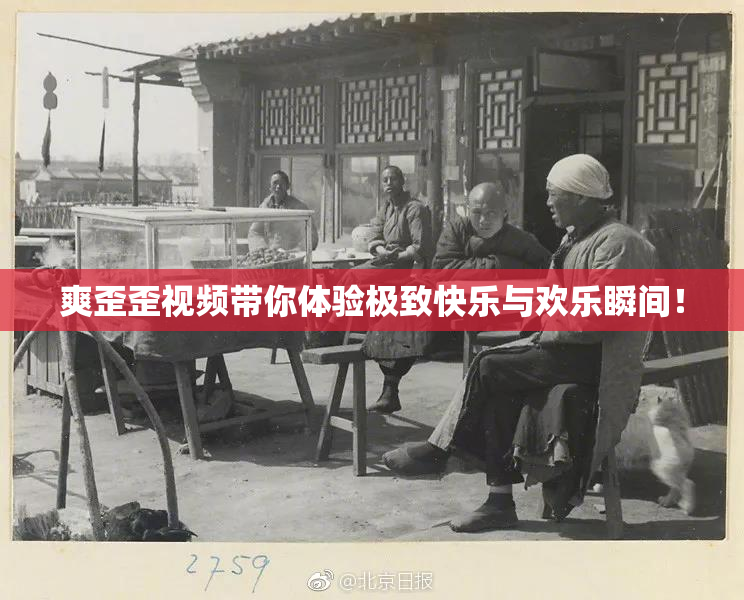 爽歪歪视频带你体验极致快乐与欢乐瞬间！