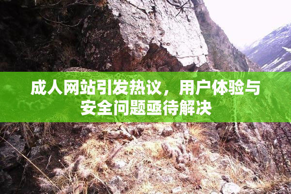 成人网站引发热议，用户体验与安全问题亟待解决