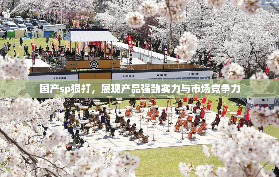 国产sp狠打，展现产品强劲实力与市场竞争力