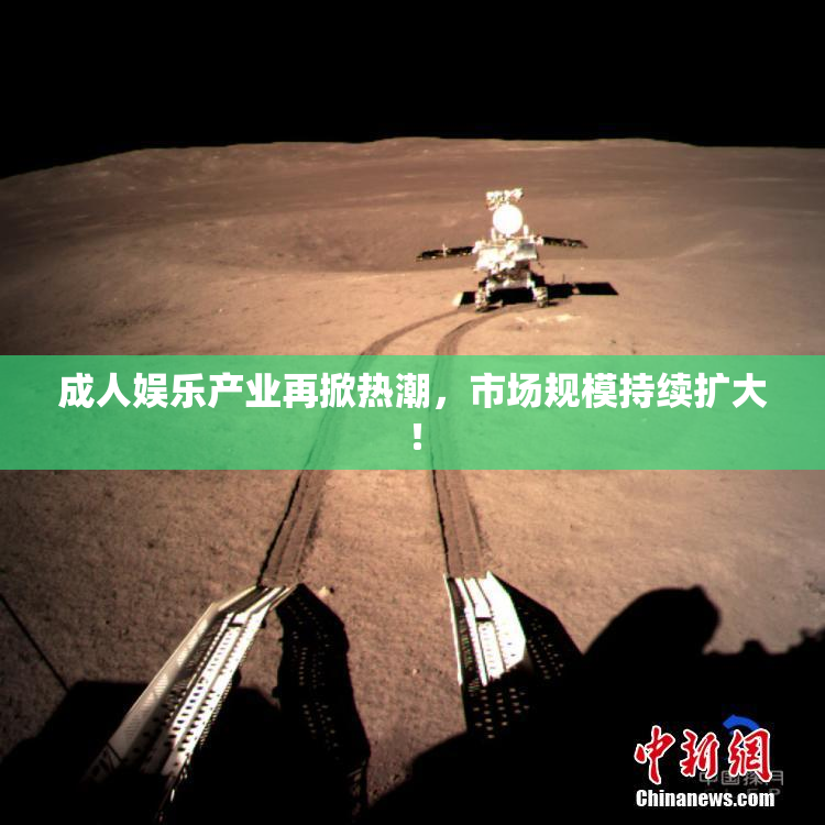 成人娱乐产业再掀热潮，市场规模持续扩大！