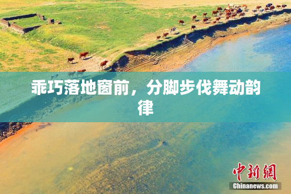 乖巧落地窗前，分脚步伐舞动韵律