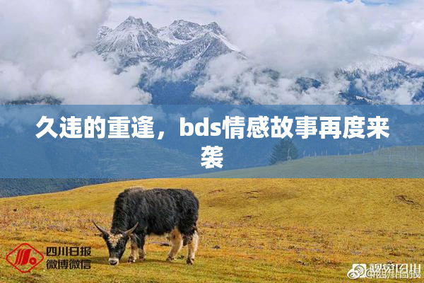 久违的重逢，bds情感故事再度来袭